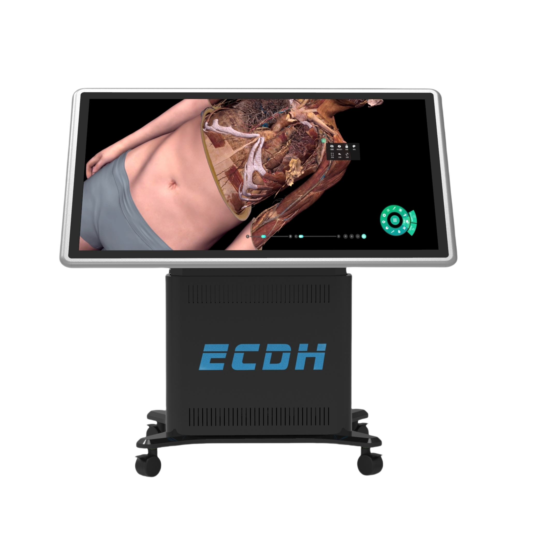 55-inch 3D medical display virtual anatomy table, fully laminated touch screen, capacitive touch screen virtual anatomy table - Image 4