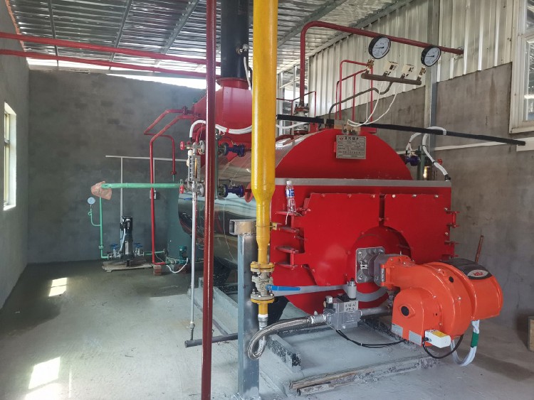 Summer beverage Coca Cola Sprite production uses steam boiler 1 ton 2 tons 3 tons 4 tons 5 tons 6 tons 7 tons 8 tons - Image 2