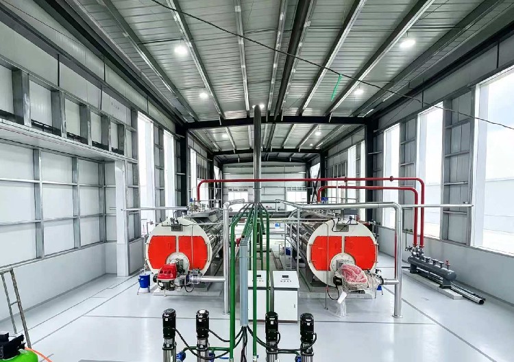 8-ton steam boiler 1.25Mpa 300 degree superheated steam double drum membrane wall burner control cabinet - Image 6
