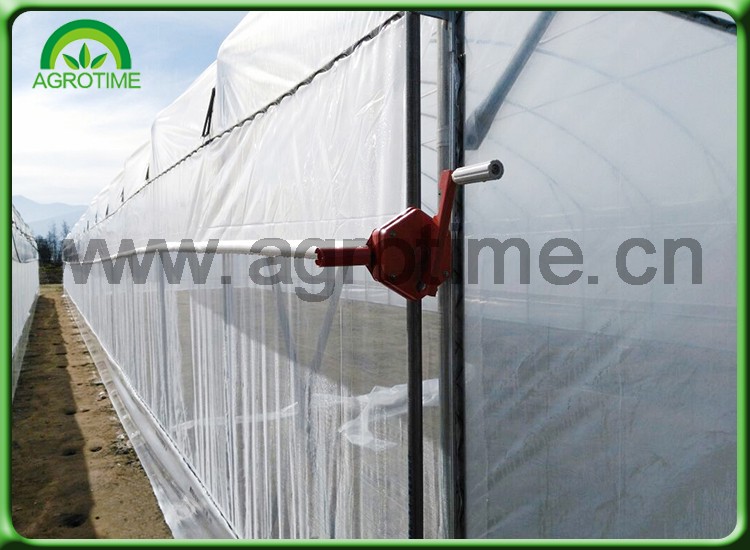 victorian greenhouse.jpg