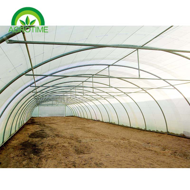 polycarbonate greenhouse.jpg