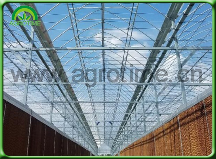 home garden greenhouse.jpg