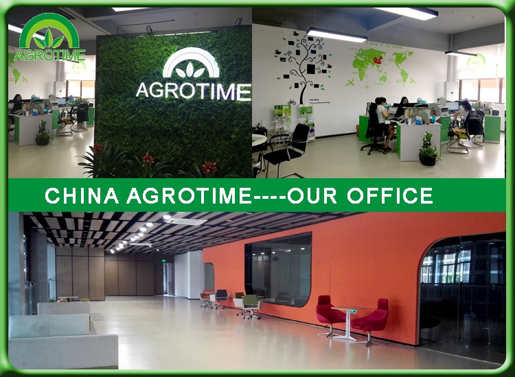 Greenhouse office.jpg