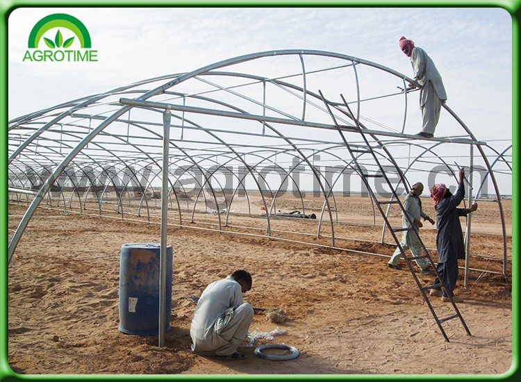 greenhouse plastic cover.jpg