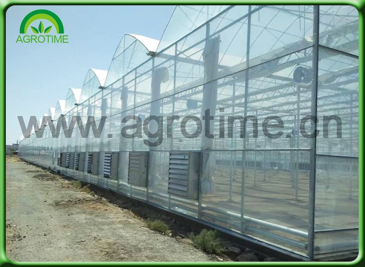 greenhouse net.jpg
