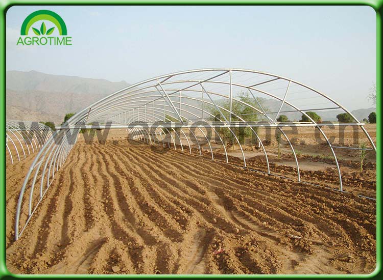 wall greenhouse kits.jpg