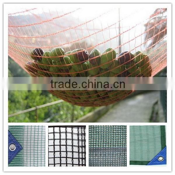 agricultrual sun shade net/agricultural plastic shade net/plastic net