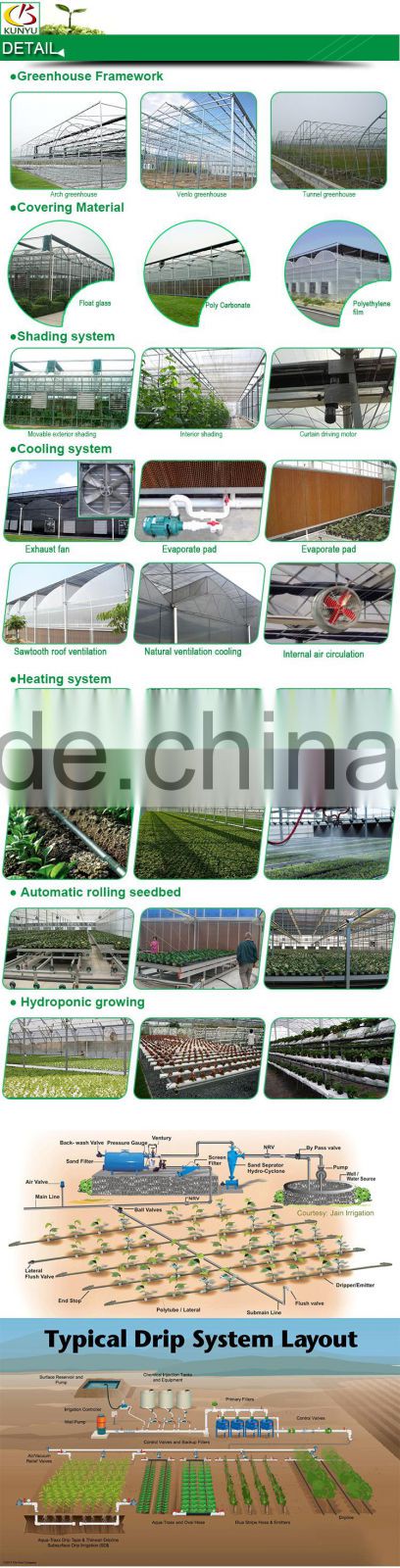 Venlo roof acrylic greenhouse glass polycarbonate greenhouse