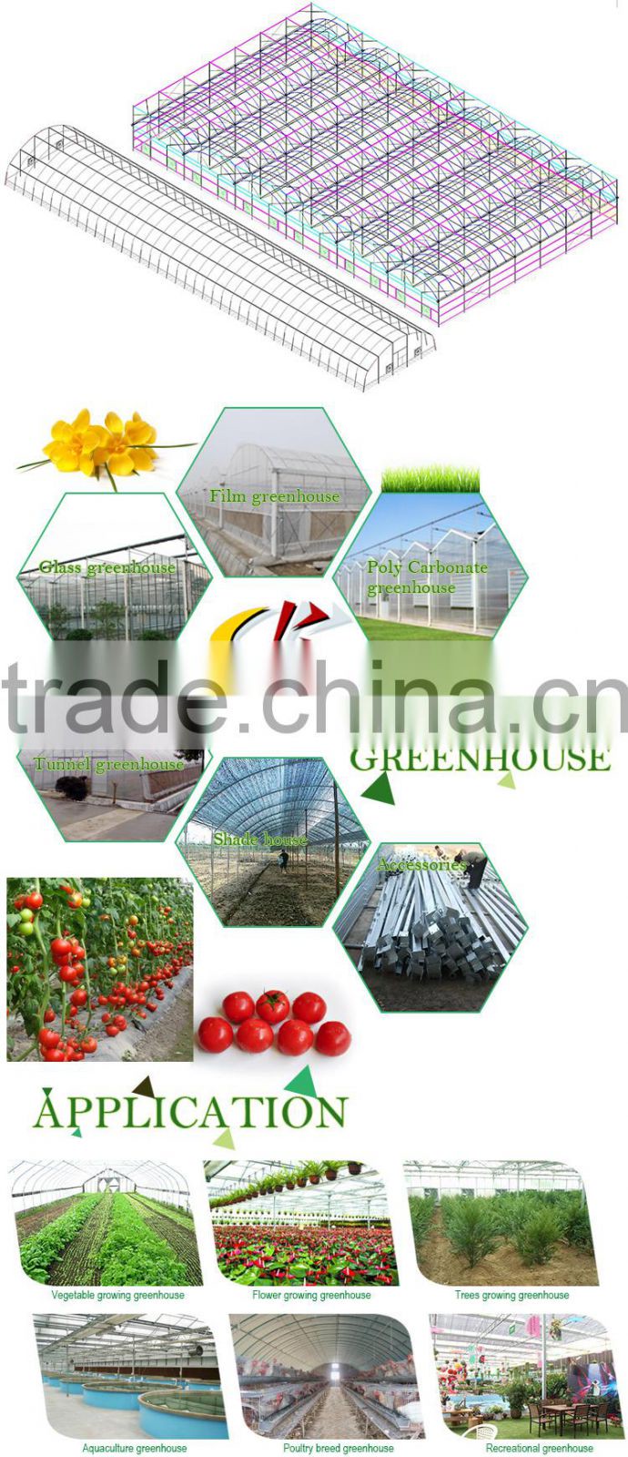 Venlo roof acrylic greenhouse glass polycarbonate greenhouse
