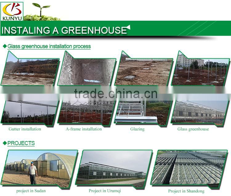 Venlo roof acrylic greenhouse glass polycarbonate greenhouse