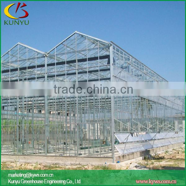 Venlo roof acrylic greenhouse glass polycarbonate greenhouse