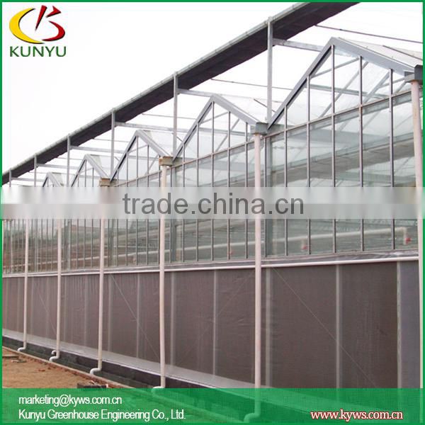 Venlo roof Glass greenhouse small indoor glass greenhouse