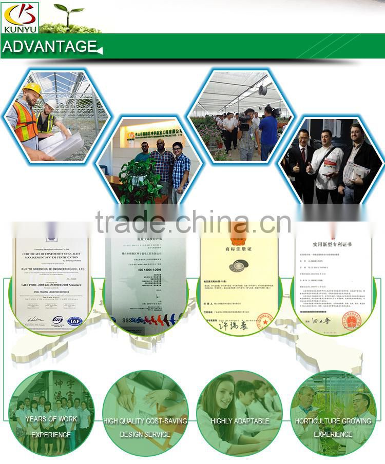 Venlo roof acrylic greenhouse glass polycarbonate greenhouse