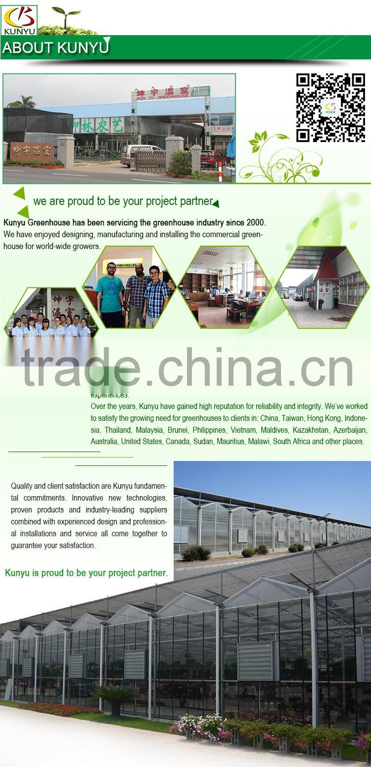 Venlo roof acrylic greenhouse glass polycarbonate greenhouse