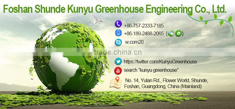 Venlo roof acrylic greenhouse glass polycarbonate greenhouse