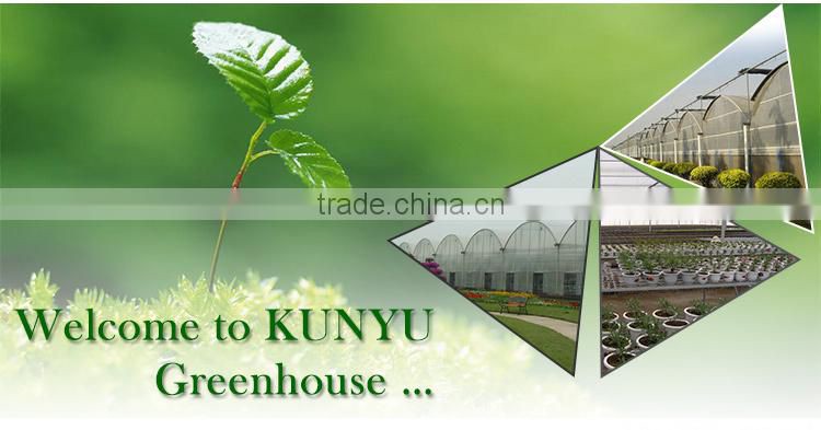 Venlo roof acrylic greenhouse glass polycarbonate greenhouse