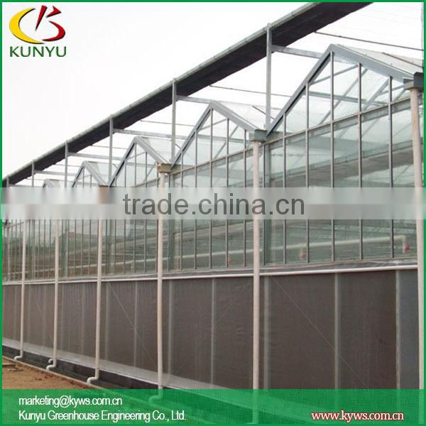 Venlo roof acrylic greenhouse glass polycarbonate greenhouse