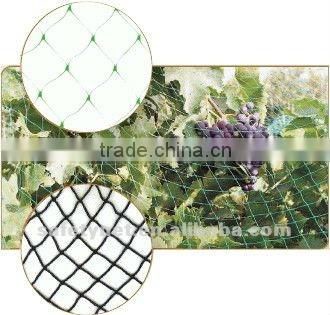 HDPE Anti bird net / Handle Pet Bird Net