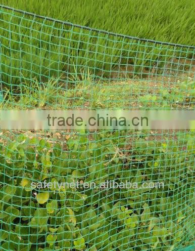 High Strength Plastic hail netting