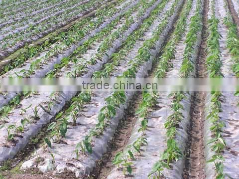 PE mulch film