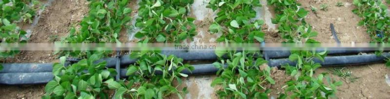 XIFENG IRRIHOSE BRAND drip tape/ Green house/ drip line/ layflat irrigation