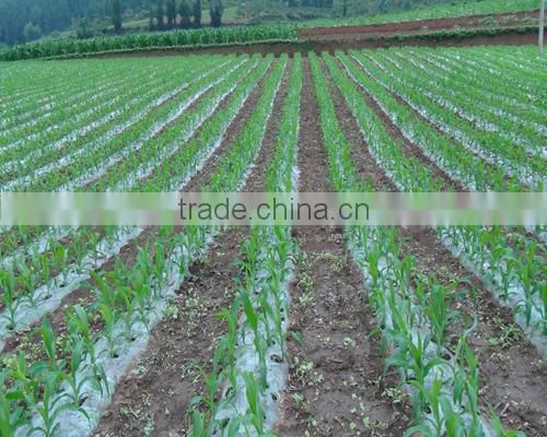 PE mulch film