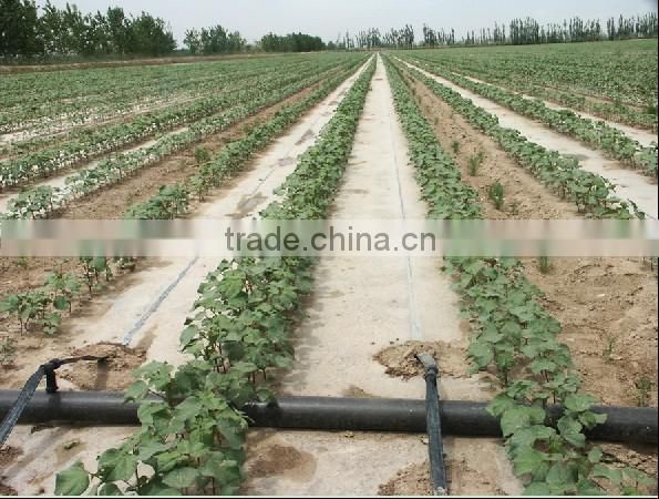 PE Agricultural Drip irrigation tape