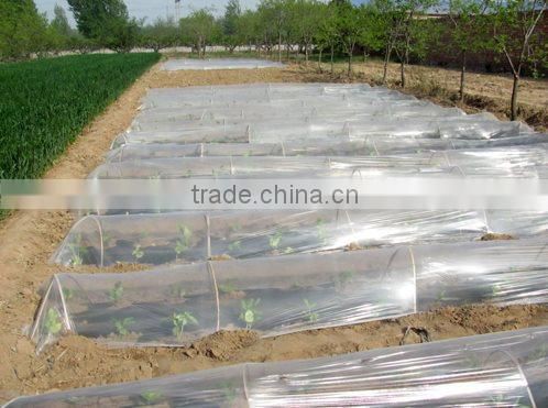 PE mulch film