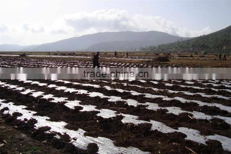 PE mulch film