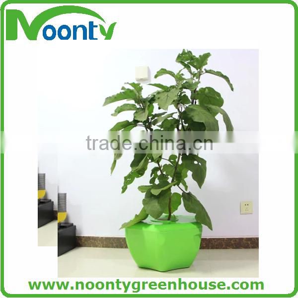 Tomato Hydroponics Growing Pot