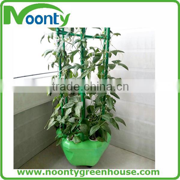 Tomato Hydroponics Growing Pot