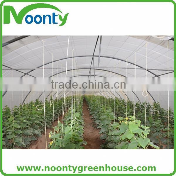 Single Tunnel Greenhouse