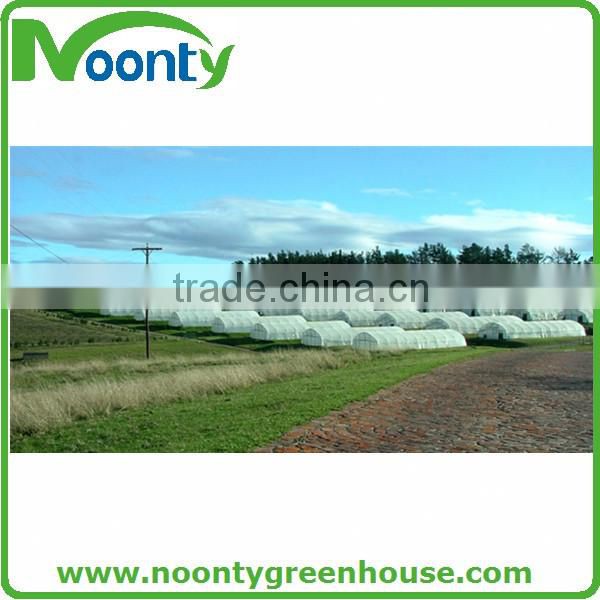 Single Tunnel Greenhouse