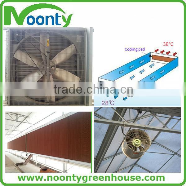 Fiberglass Greenhouse