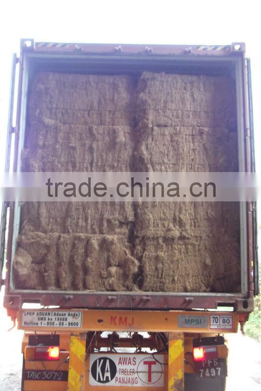 Oil Palm EFB Fiber For Mattress