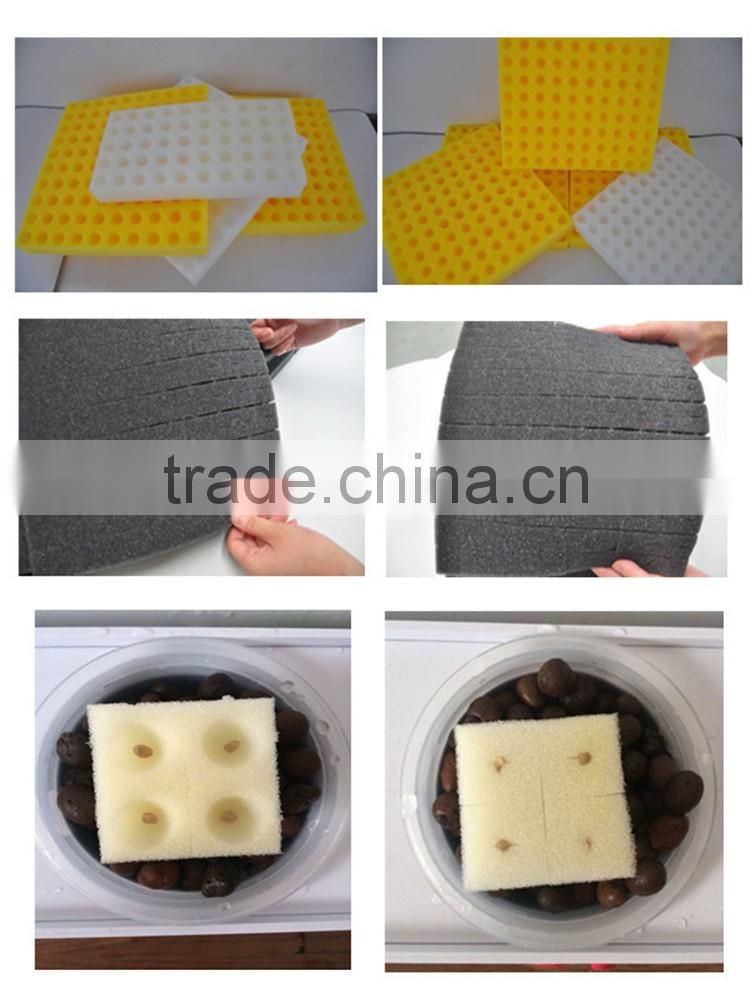 China mamufacture Soilless culture Seeds tray Hydroponic Planting sponge&foam