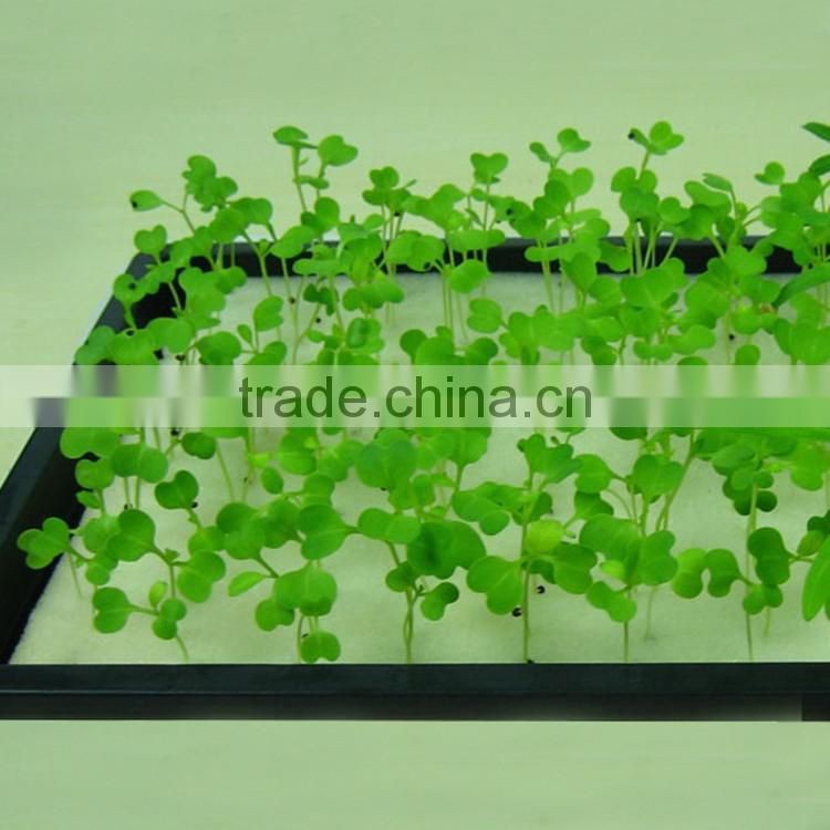 China mamufacture Soilless culture Seeds tray Hydroponic Planting sponge&foam