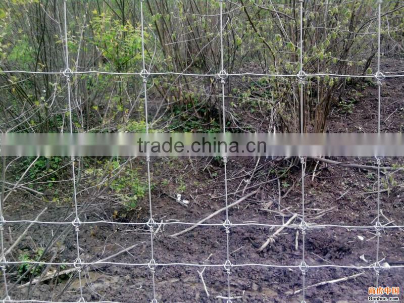 Wire Mesh for Grassland