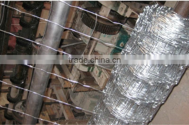Wire Mesh for Grassland