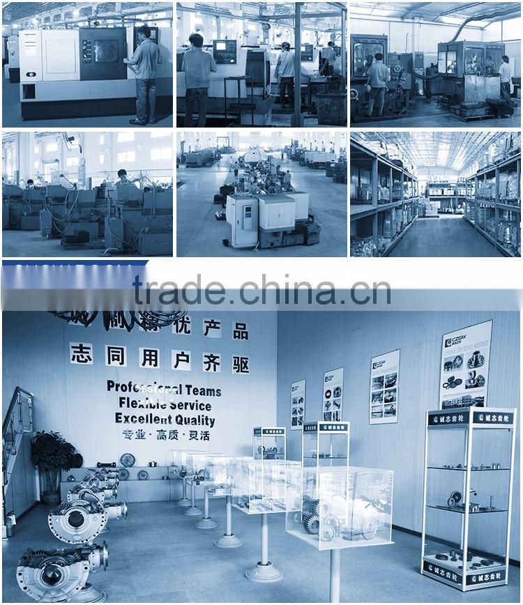 High Precision Stainless Steel/Brass Hub Mount Gear