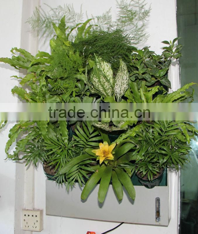 PV230 mini green wall plant box