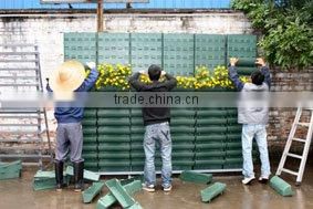 BAU500 green wall plastic flower pots, Automatic irrigation