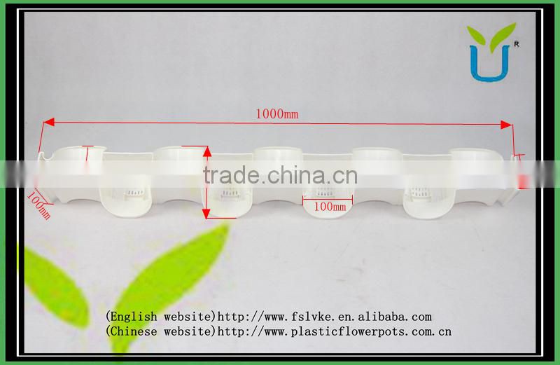 Double sided green wall system for office