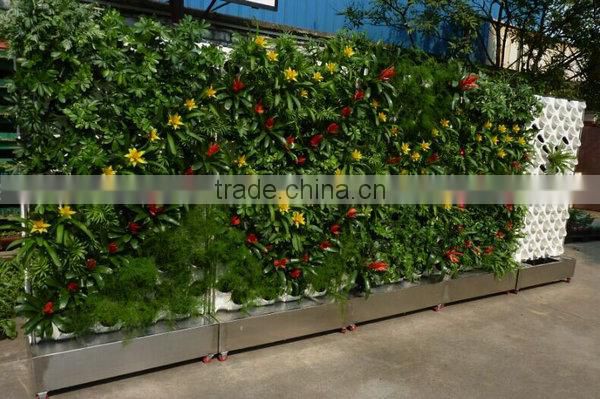 Double sided green wall system for office