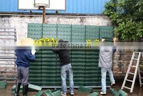BAU500 green wall plastic flower pots, Automatic irrigation