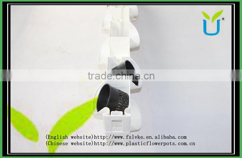 Double sided green wall system for office