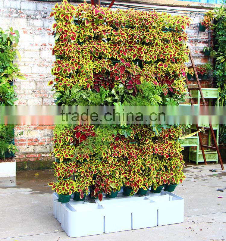 PG135 plastic Living wall planter box