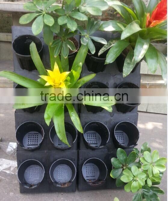 PV230 mini green wall plant box