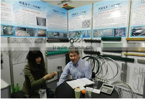 Anping factory barbed wire/galvanized /pvc