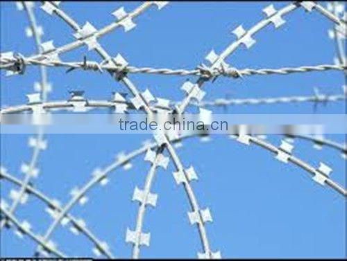 Flat Razor Barbed Wire goods in stock (strict quality control system)